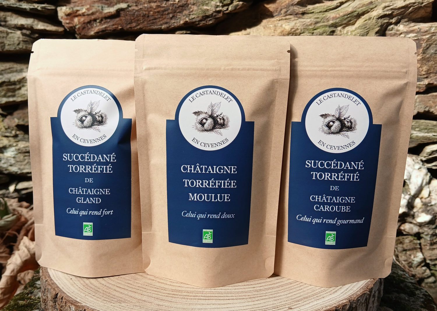 Nos substituts de cafés